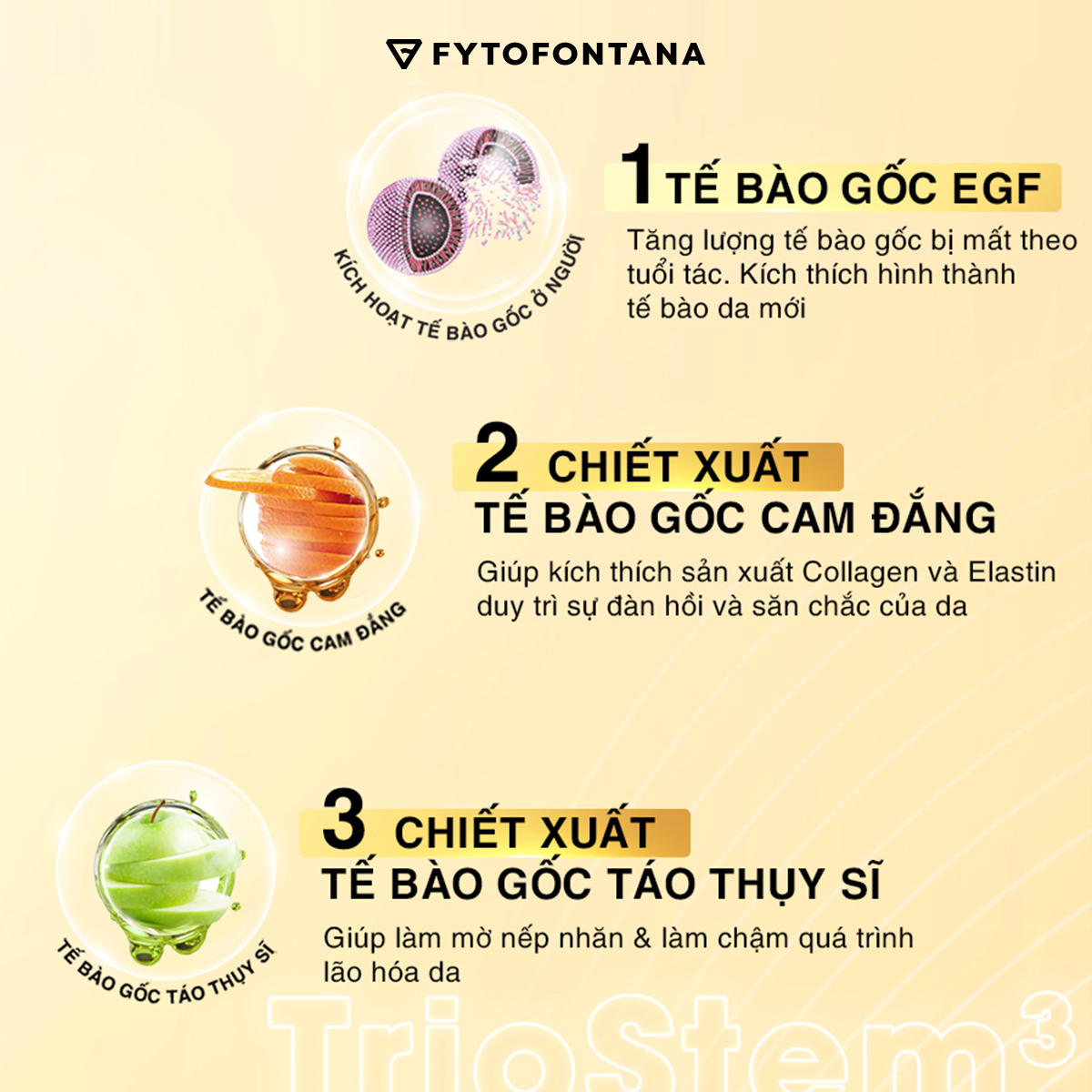 3 Thành phần chính phức hợp TrioStem3 của mỹ phẩm tế bào gốc cao cấp Fytofontana