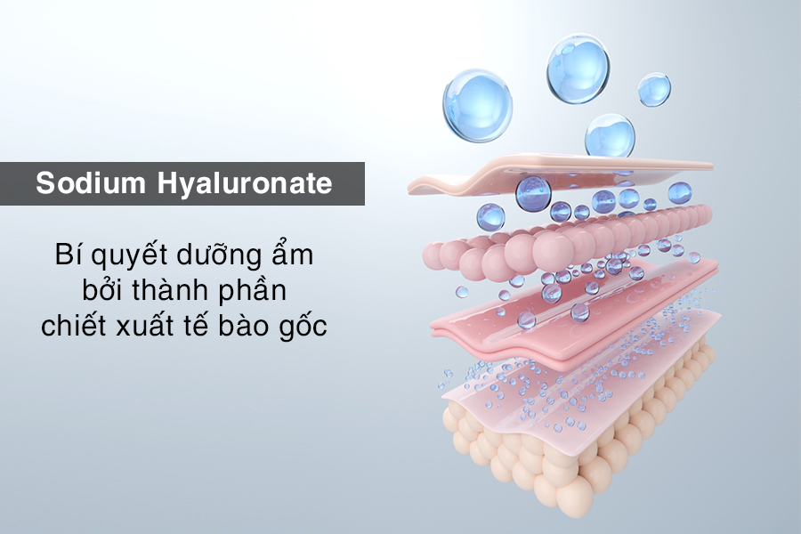 Sodium-Hyaluronate-la-gi
