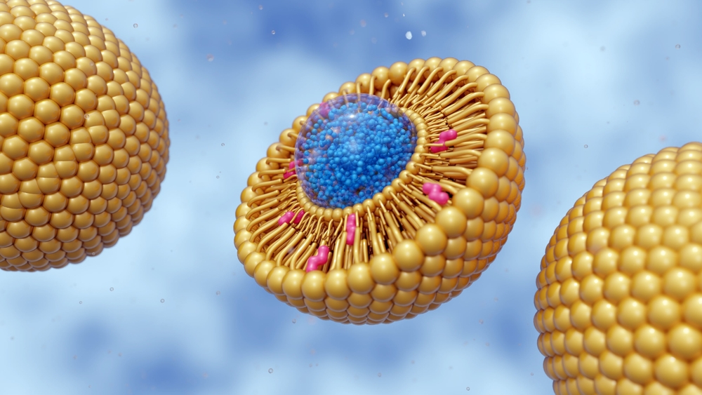 Liposome là gì?