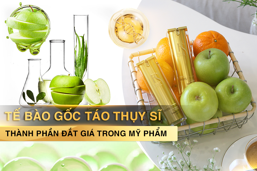 Tế bào gốc táo thụy sĩ thành phần đắt giá trong mỹ phẩm