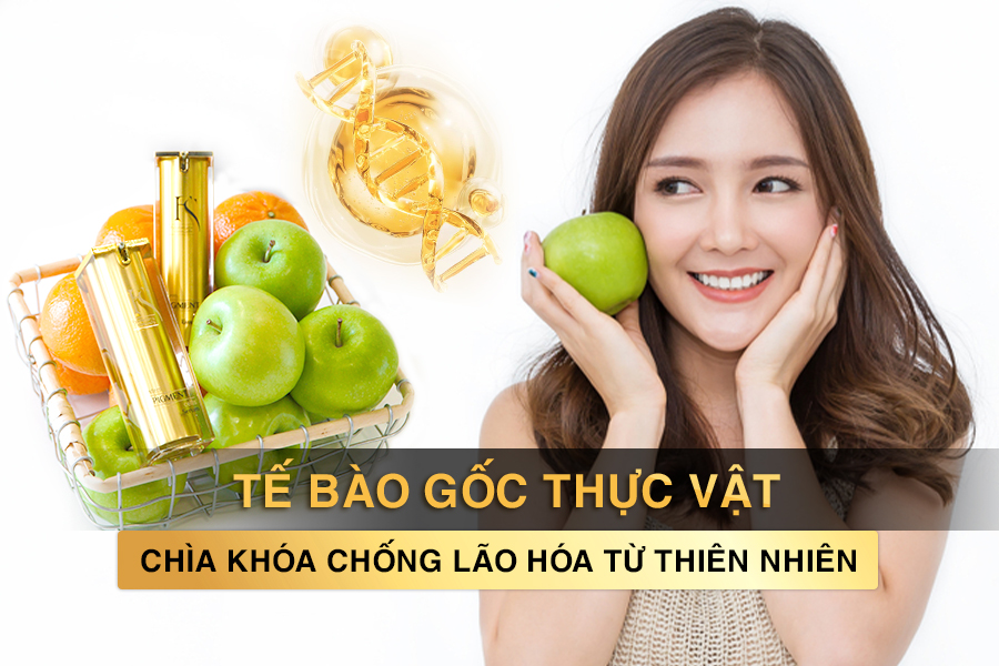 Tế bào gốc thực vật