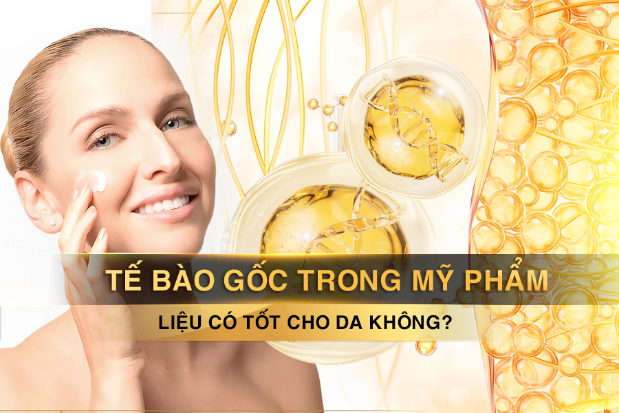 Tế bào gốc trong mỹ phẩm là gì? liệu có tốt cho da không?