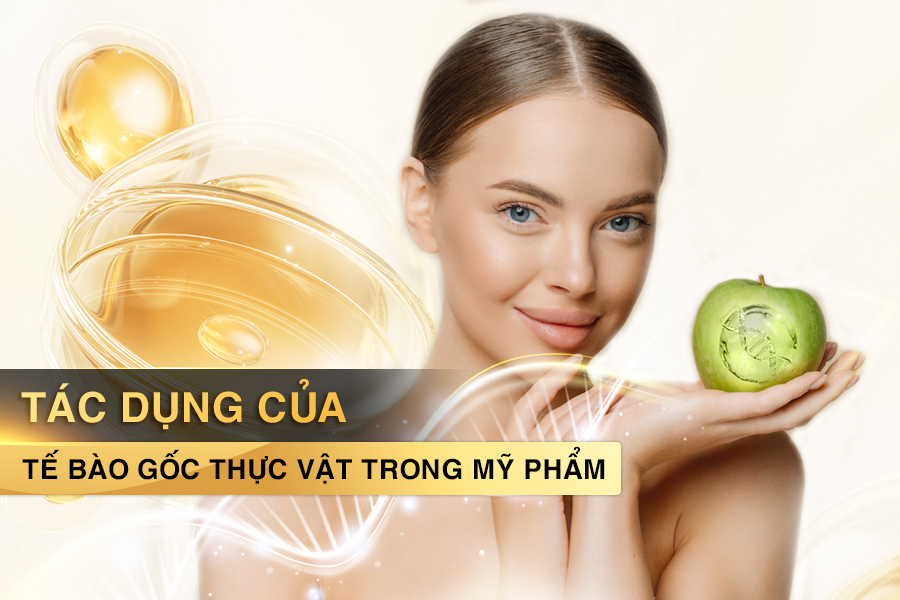 Tác dụng của tế bào gốc