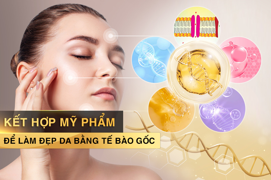 làm đẹp da bằng tế bào gốc