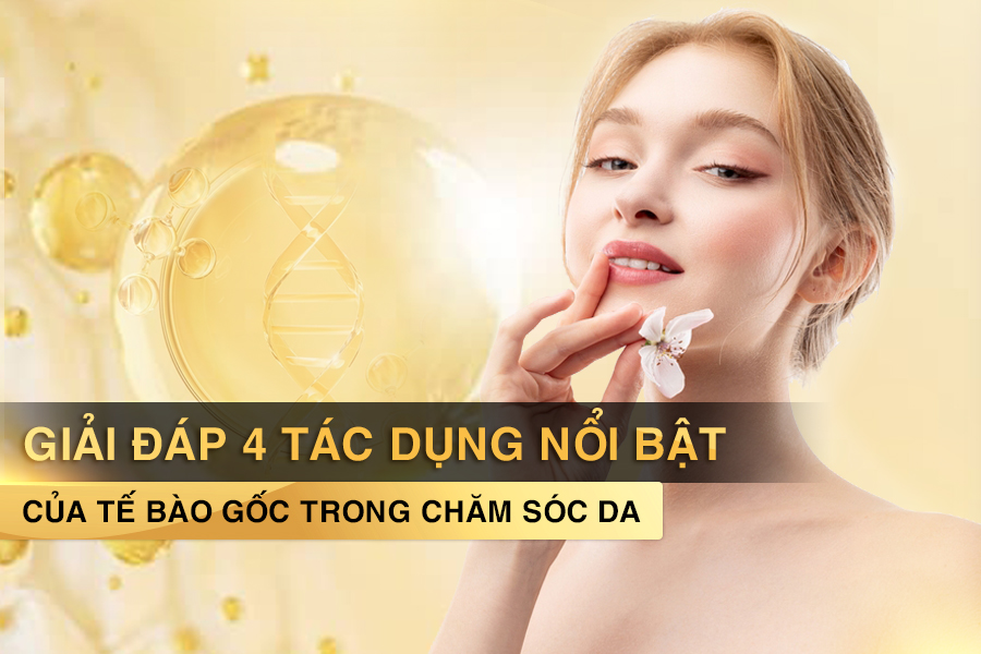 tế bào gốc có tác dụng gì