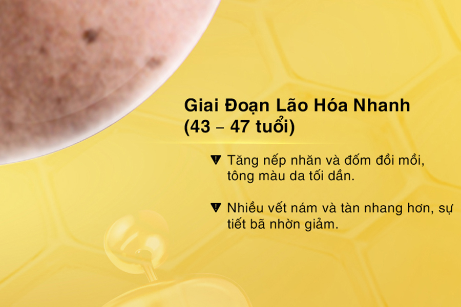 giai đoạn lão hóa da diễn ra nhanh chóng