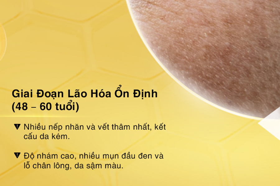 giai đoạn lão hóa đã ổn định