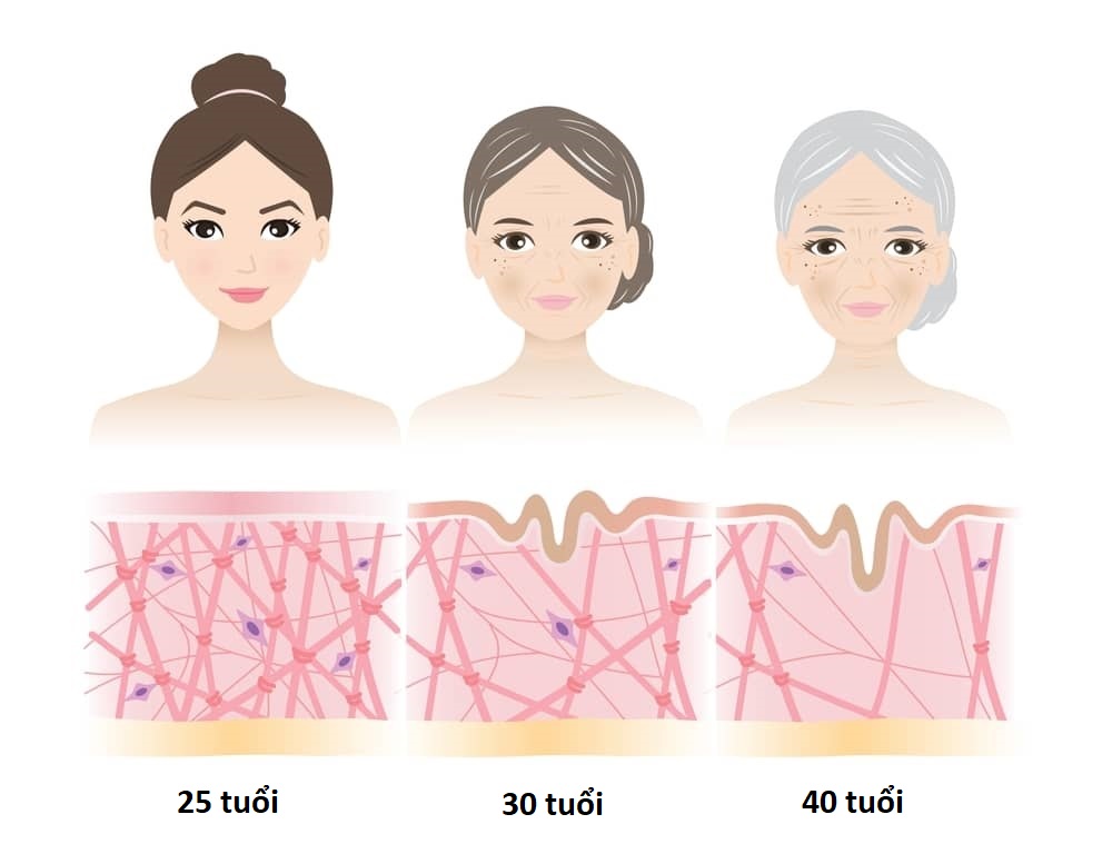 ngăn ngừa lão hóa da theo độ tuổi