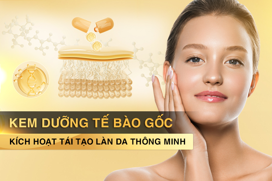 Kem Dưỡng Tế Bào Gốc