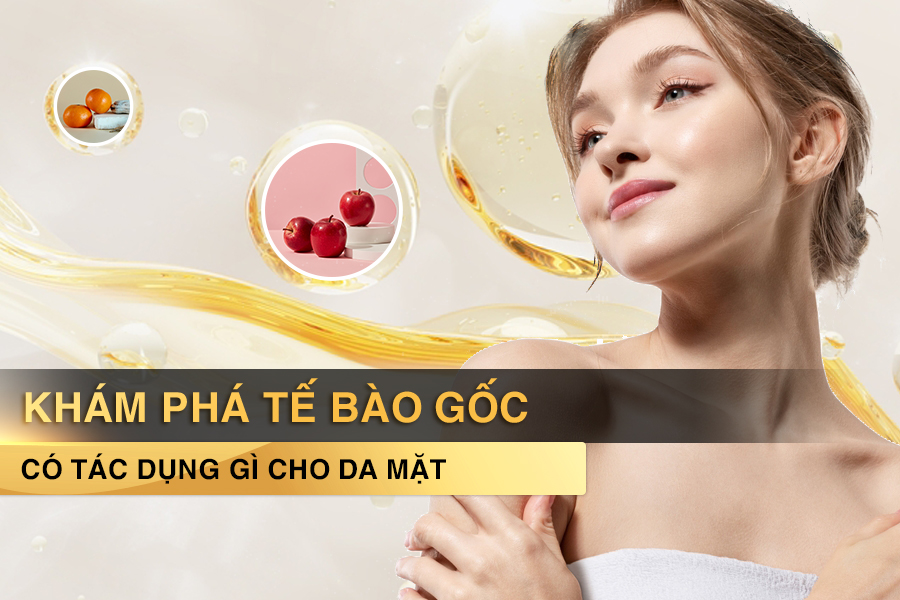 tế bào gốc có tác dụng gì cho da mặt